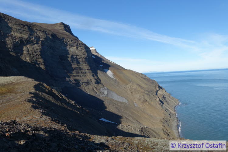 Mirefjellet