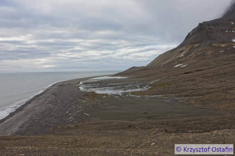 The Barents Sea coast
