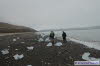 The Barents Sea coast