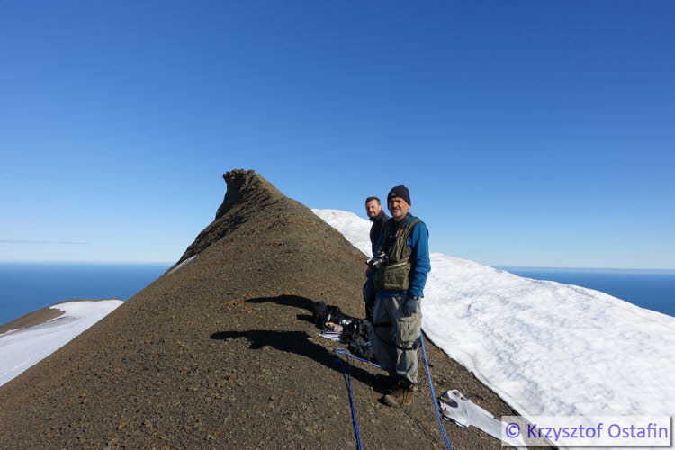 Hedgehogfjellet top