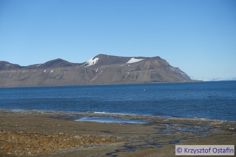 The Barents Sea coast, Hambergbukta