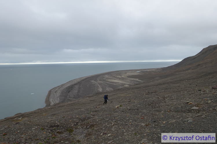 The Barents Sea coast, coastal plain