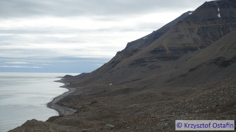 The Barents Sea coast