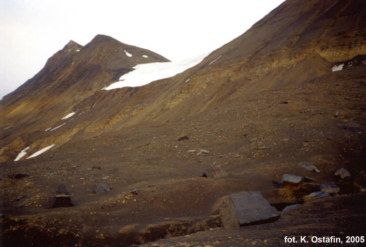 Kanebreen