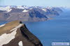 Hedgehogfjellet top