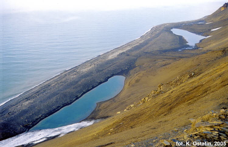 Davislaguna